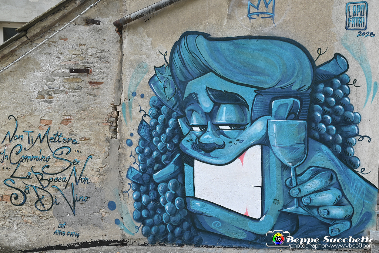 VBS_2872 - Neive.jpg